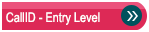 CallID Entry Level is a summary report which verifies the identity of an individual.