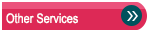 TransUnion has developed a range of innovative solutions tailored to meet the increasingly sophisticated requirements of the credit industry.